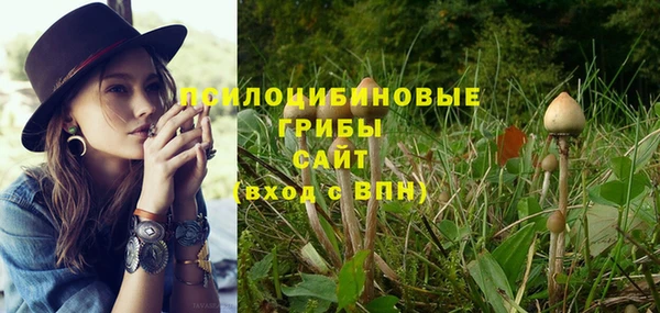 меф Нягань
