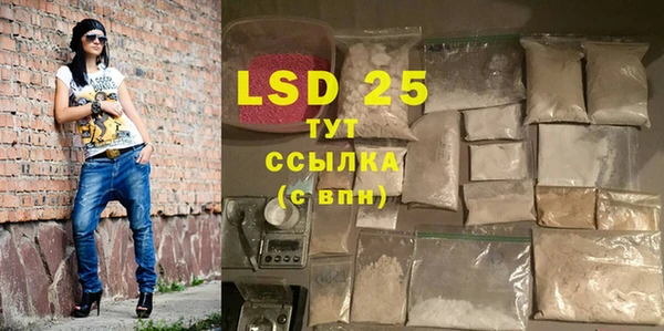 крисы Осинники