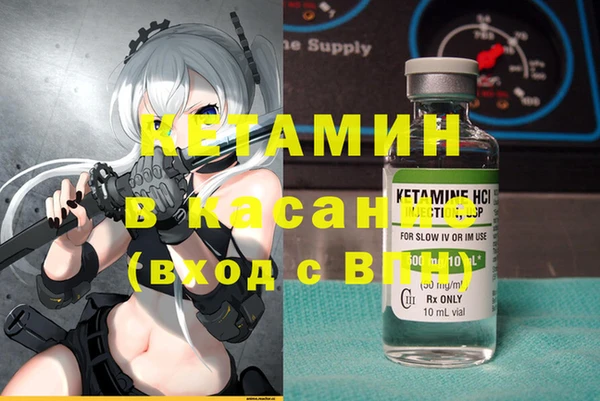 крисы Осинники