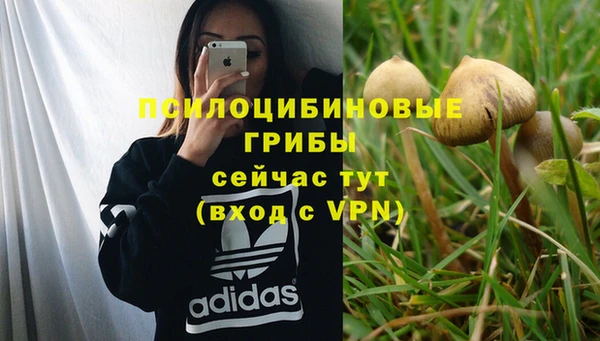 герыч Няндома