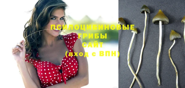 mdpv Остров