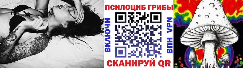 Галлюциногенные грибы Psilocybe  Тулун 