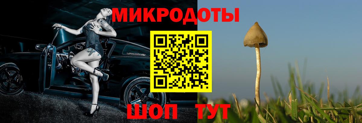Псилоцибиновые грибы ЛСД  Вход с VPN  Тулун 