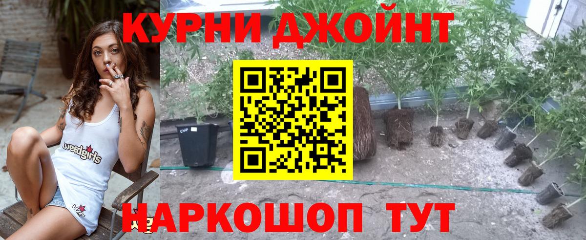 МАРИХУАНА тримм Тулун